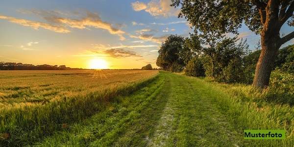 Land- und Forstwirtschaftsfläche
