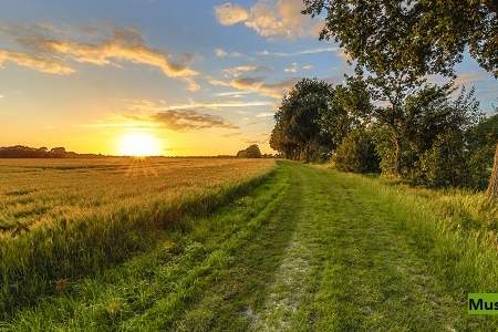 Land- und Forstwirtschaftsfläche, Grund und Boden-kauf, 10.800,€, 2463 Bruck an der Leitha
