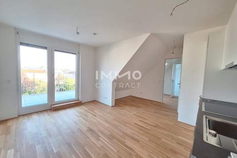 Terrassentraum; 2 Zimmerwohnung mit Dachterrasse in der Schillgasse, Wohnung-miete, 1.250,00,€, 1210 Wien 22., Donaustadt