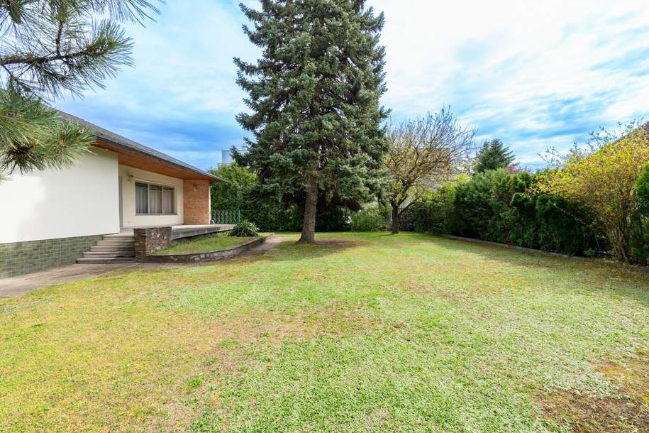 "Bungalow auf Eigengrund 1000m² - 5 min vom Gewerbepark Stadlau!", Haus-kauf, 749.000,€, 1220 Wien 22., Donaustadt