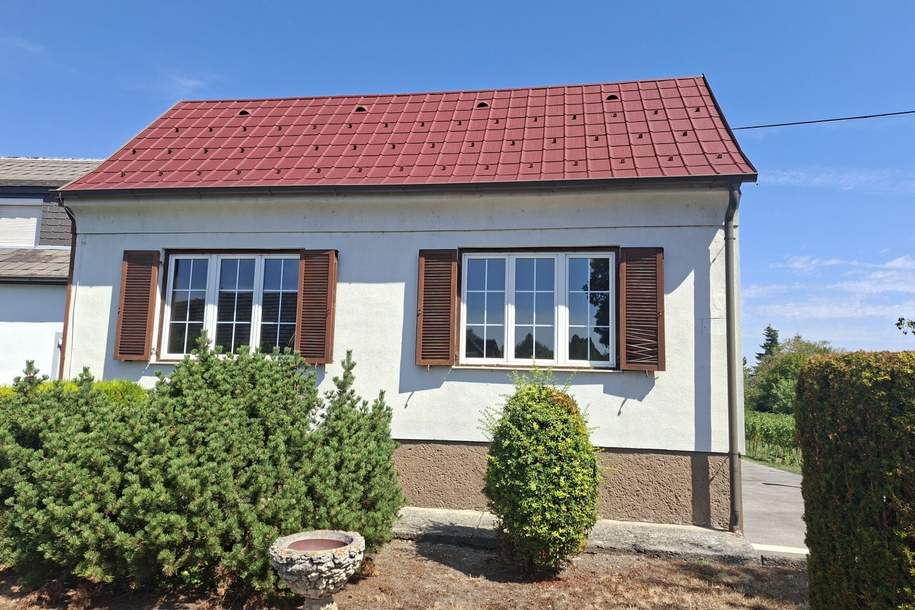 So viele Möglichkeiten - Purbach am Neusiedler See, Haus-kauf, 950.000,€, 7083 Eisenstadt-Umgebung