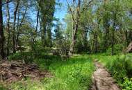 GEDIEGENE LANDVILLA MIT PARKÄHNLICHEM NATURPARADIES!