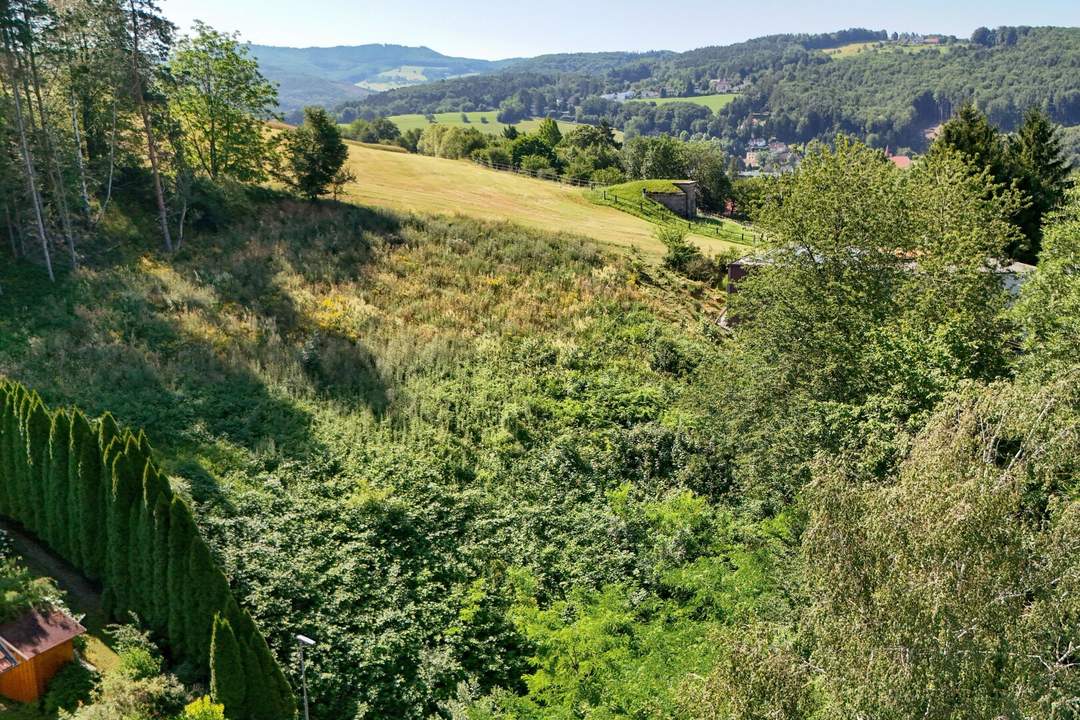 Ihr Bauplatz am Waldrand – Wohnen zwischen Wiesen, Wald und Weitblick