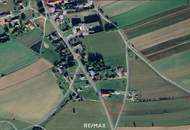 Grünland in Voitschlag – attraktive Fläche zur langfristigen Vorsorge