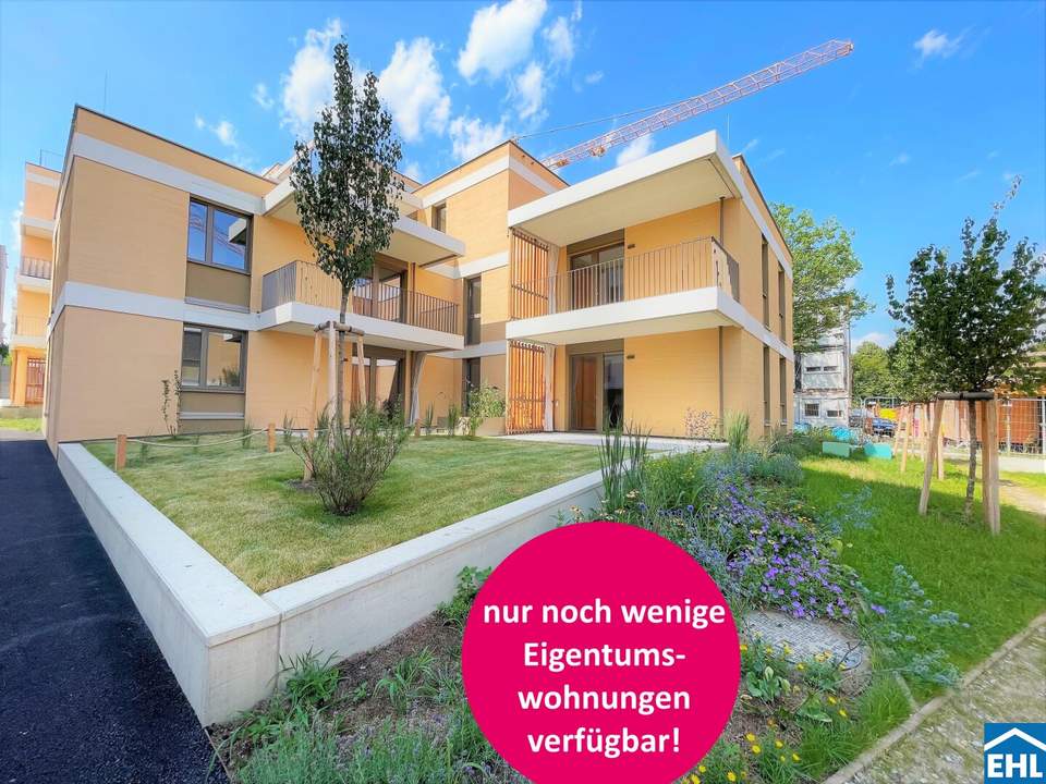 Wildgarten - Ihr Zuhause beim Rosenhügel!