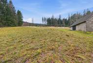 UNBERÜHRTE NATUR &amp; VIELE MÖGLICHKEITEN - IHR PRIVATES HIDEAWAY IN HIRSCHENWIES BEI MOORBAD HAARBACH!