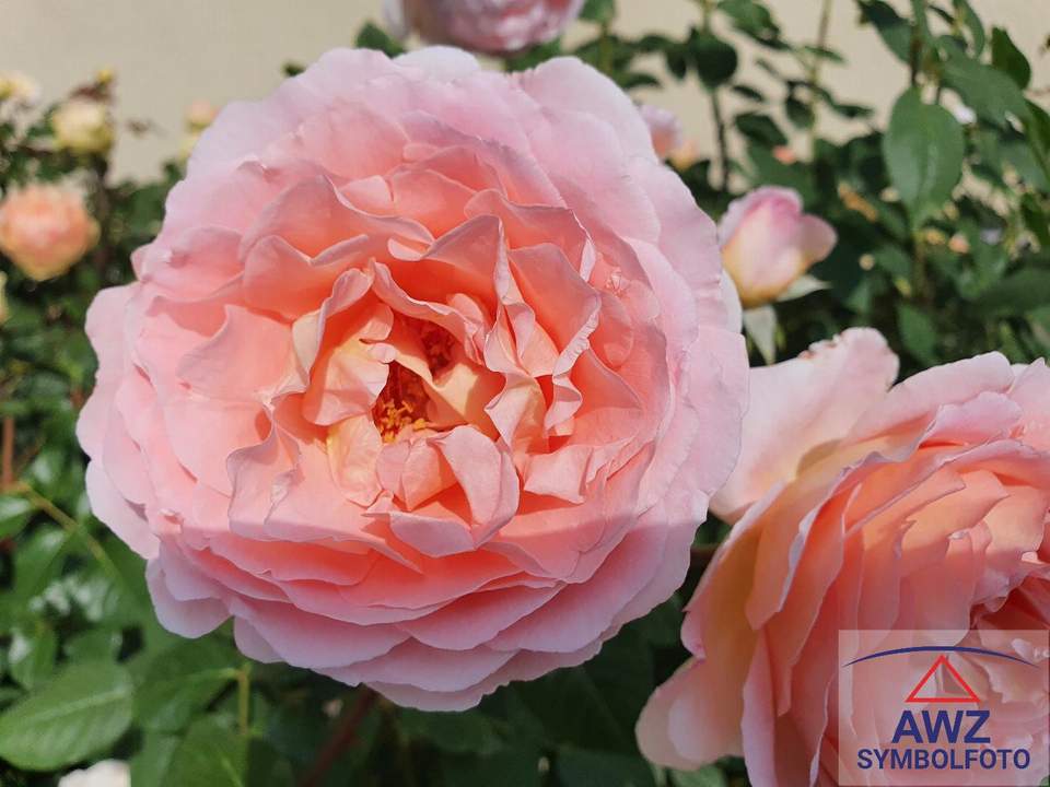 Holzhausen - Vermiete Single-, Pärchenwohnung in einem schönen Bauernhof!