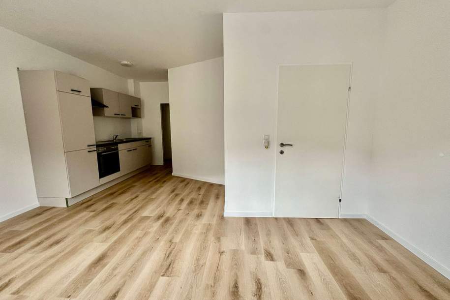 Modernisierte Mietwohnung in Bad Sankt Leonhard zu vermieten, Wohnung-miete, 725,00,€, 9462 Wolfsberg