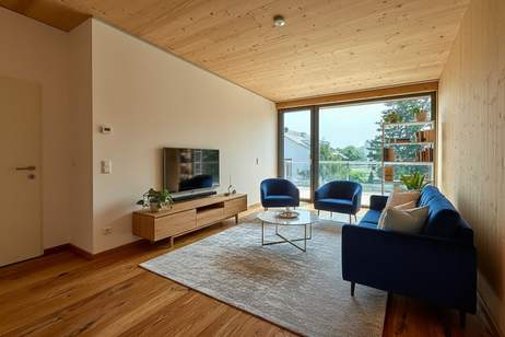 PROVISIONSFREI ! Exklusive Eigentumswohnungen mit Freifläche , Erstbezug Nachhaltig, Wohnung-kauf, 225.700,€, 2344 Mödling