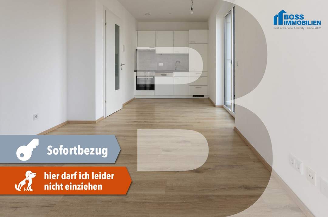 Trendy Living - Top 4