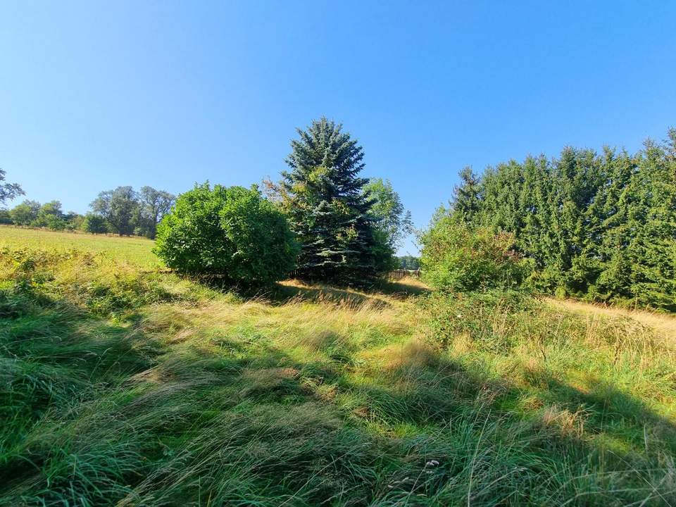 großes Baugrundstück mit tollem Ausblick!