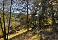 PREISREDUKTION! Attraktiver Baugrund inkl. Bewilligung für Wohnbauprojekt mit 4 Doppelhaushälften