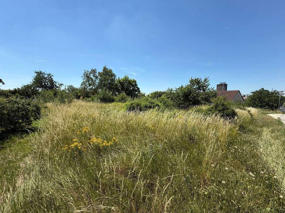 Grundstücke in Gänserndorf Stadt – 700 m², kein Bauzwang, mehrere Einheiten möglich!