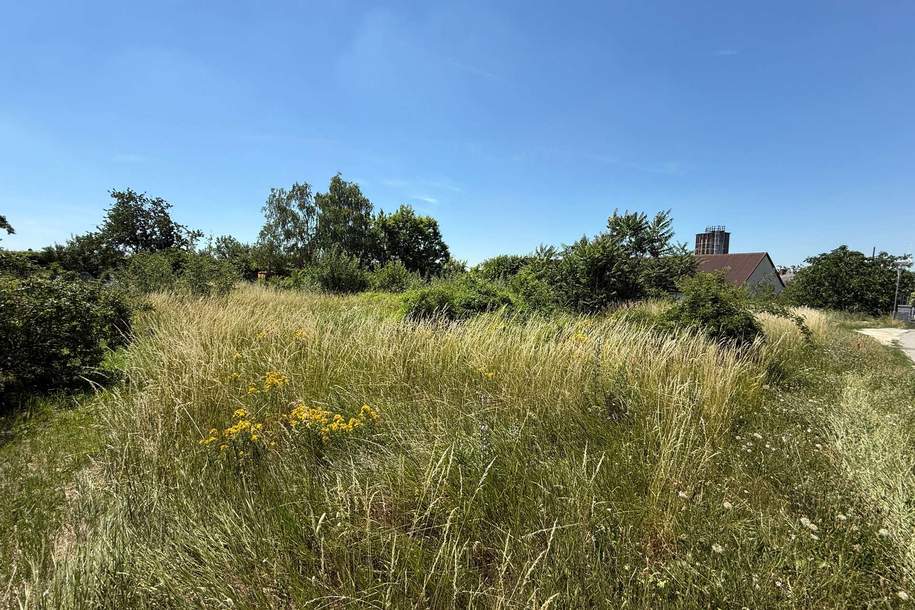 Grundstücke in Gänserndorf Stadt – 700 m², kein Bauzwang, mehrere Einheiten möglich!, Grund und Boden-kauf, 266.000,€, 2230 Gänserndorf