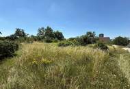 Grundstücke in Gänserndorf Stadt – 700 m², kein Bauzwang, mehrere Einheiten möglich!