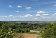 Großzügiges Grundstück in Rohrbach - Ideal für Freizeit Landwirtschaft! (Provisionsfrei)