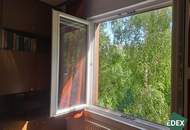 Charmante 1-Zimmer-Wohnung mit Blick ins Grüne in Wien Brigittenau