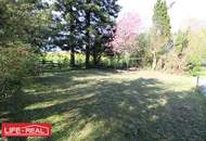 Grundstück mit Seltenheitswert am Mattsee, KEIN BAULAND