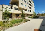 SO GÜNSTIG, DA TAUT SOGAR DER SCHNEEMANN! 6,5% WINTERRABATT!