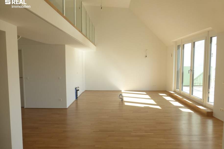 UNBEFRISTET! Erstklassiges Penthouse mit Palais-Blick und 50 m² Terrasse beim Liechtensteinpark - MIETZINSVORAUSZAHLUNG!, Wohnung-miete, 2.998,00,€, 1090 Wien 9., Alsergrund