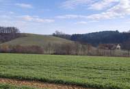 Landwirtschaftliche Nutzflächen in St. Agatha / Waizenkirchen
