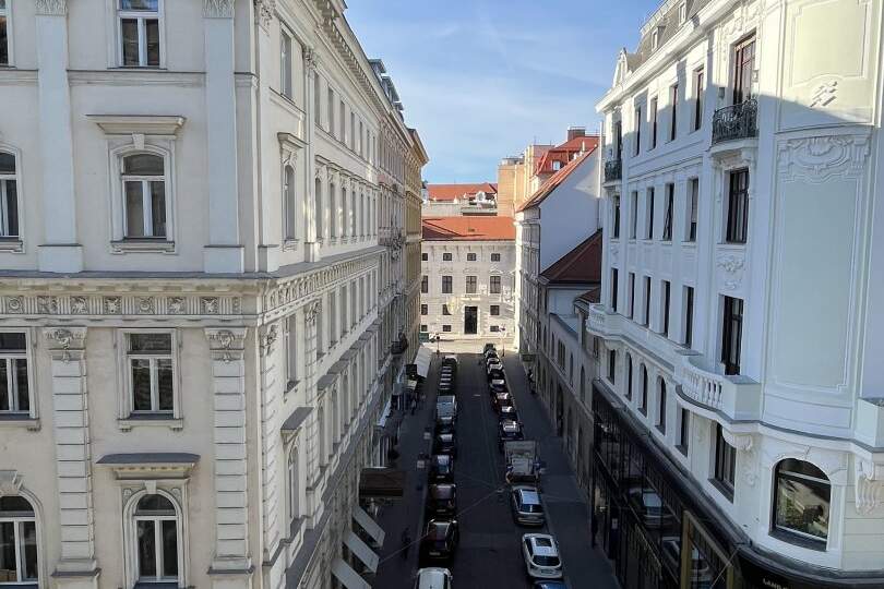 Großzügige, neu renovierte Büro-Wohnung in repräsentativem Stilaltbau Nähe Staatsoper!, Wohnung-miete, 4.949,45,€, 1010 Wien 1., Innere Stadt
