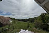 Modernes Haus in den Weinbergen - Wohnen mit Stil und Weitblick