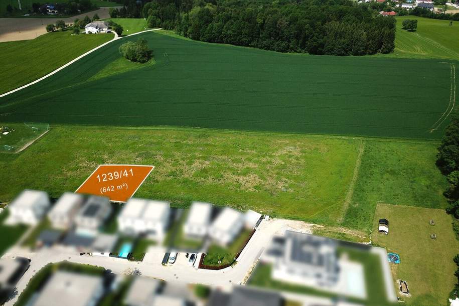 Baugrundstücke in Katsdorf / Ruhstetten – sonnige Lage, ideal für 1–3 Wohneinheiten je Parzelle, Grund und Boden-kauf, 160.500,€, 4223 Perg
