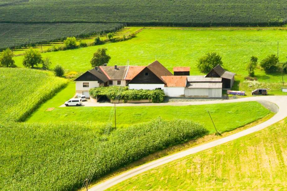 Selbstversorgeranwesen, Haus-kauf, 390.000,€, 7543 Güssing