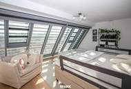 Exklusives Penthouse - herrlicher Donau- und Weinbergblick