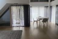 Penthouse with swimming pool KAASGRABEN RESIDENZEN