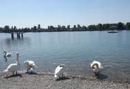 Frisch sanierte 3-Zimmer-Wohnung mit Loggia auf 105 m2 Wohnnutzfläche nahe der UNO-CITY!