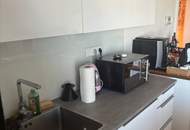 1030! Wunderschöne DG Wohnung mit großer Terrasse Nähe Urania!