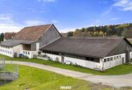 Landwirtschaft mit außergewöhnlichem Charakter und umfangreichem Bestand im Lavanttal: zwei Wohnhäuser, Wirtschaftsgebäude, Wald- und Ackerflächen