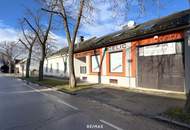 WOHNEN und/oder ARBEITEN? VERMIETEN? - GÄNSERNDORF ZENTRUM