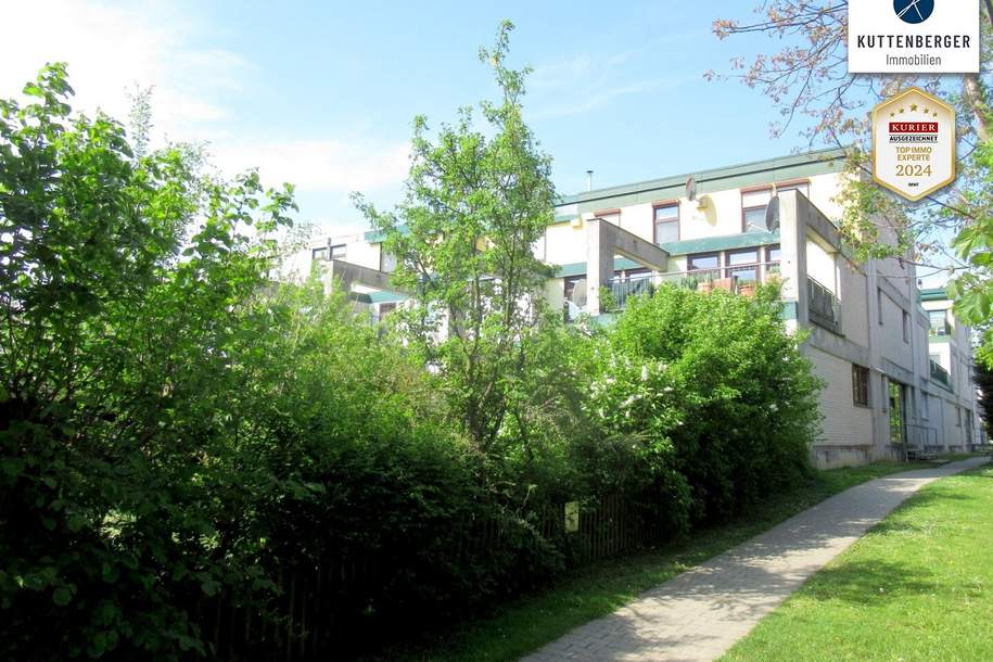 4 Zimmer mit Terrasse, Wohnung-kauf, 179.000,€, 2020 Hollabrunn