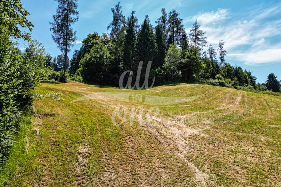 Sonniges Baugrundstück in Moosburg - Ruhige Lage am Waldrand (Nr.2), Grund und Boden-kauf, 109.000,€, 9062 Klagenfurt Land