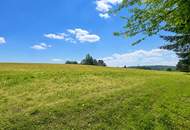 "Baugrundstück mit Aussicht"