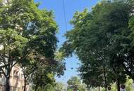 DIREKT am DONAUKANAL + FREIER BLICK + SCHÖNER ALTBAU + nahe Servitenviertel!