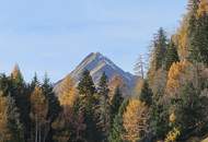 Alpenchalet mit besonderem Charme - Freizeitwohnsitzwidmung