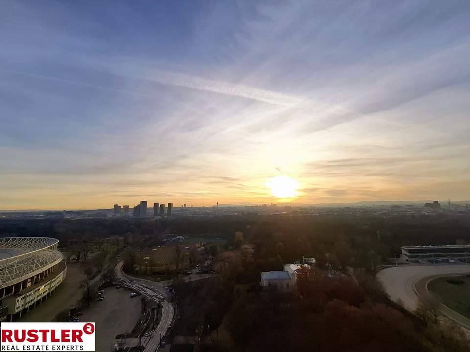 SILVESTER MIT FERNBLICK