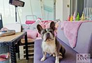 Helle Gartenwohnung in Seekirchen – gepflegte Qualität mit Raum für persönliche Modernisierung!