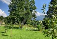 Sonniges Häuschen mit Weinstöcken in Südhanglage