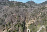 Ca. 16 ha Vielseitige Land- und Forstwirtschaftsflächen im Sackgraben – Gnadenberg