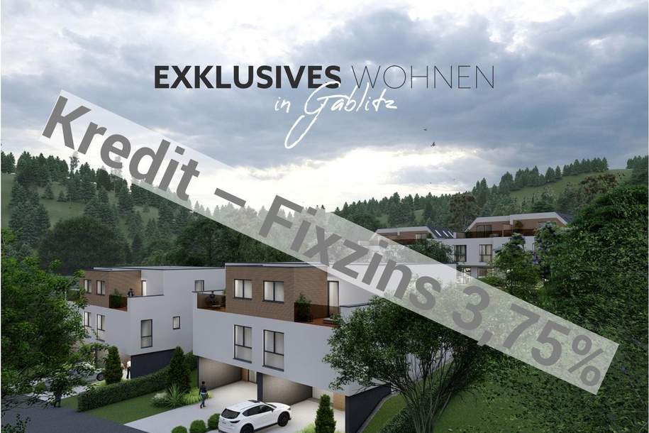 "Topmodernes Traumhaus mit besonderem Lifestyle in Gablitz", Haus-kauf, 799.000,€, 3003 Sankt Pölten(Land)