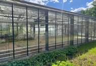 Vielseitig nutzbares Wohn- und Gewerbeareal in zentraler Toplage in Frohnleiten