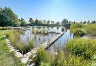 4Zi-Einfamilienhaus am Felser See - naturverbunden - Leben am Wasser