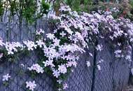 Gartenwohnung in Seebenstein – Perfekt für Paare &amp; junge Familien!