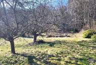 AN DER SONNENSEITE AM WALDRAND!