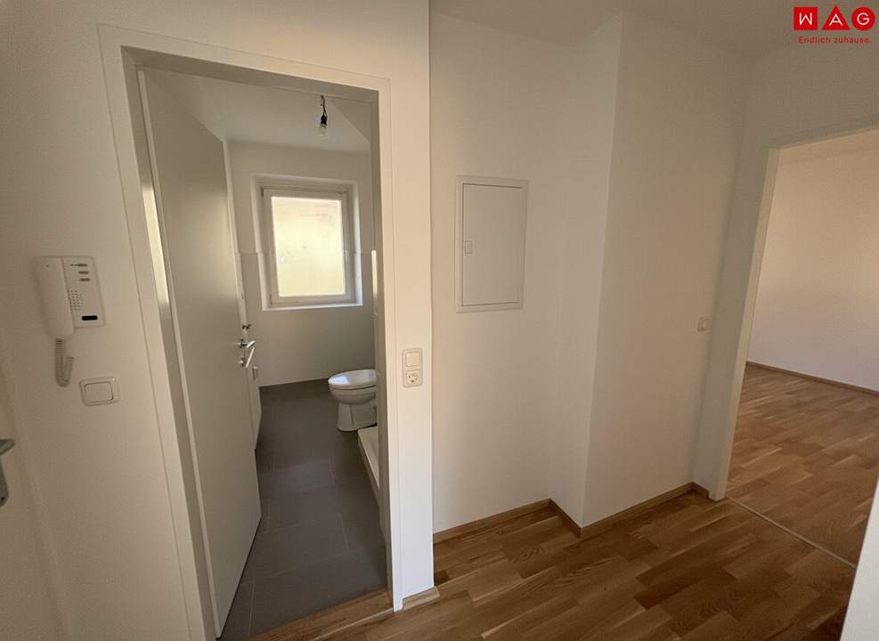 Sonnendurchflutete 2-Zimmer-Wohnung mit herrlichem Grünblick im beliebten Münichholz – liebevoll saniert, mit modernem Wohlfühlbad, praktischen Wohnräumen und perfekter Anbindung für alle, die Ruhe und Stadtnähe zugleich schätzen!